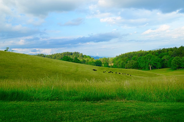 North Carolina