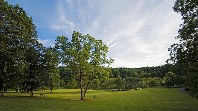 npressfetimg-12.png