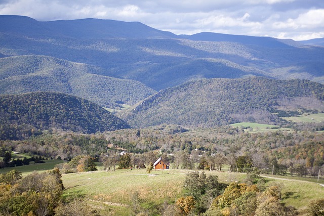 Navigating Autodialer Compliance: Nonprofits’ Guide to West Virginia Laws