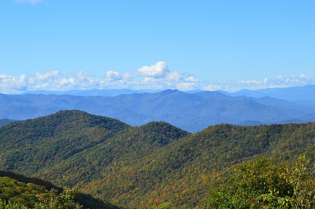Robocalls & Nonprofits: Navigating Laws to Protect North Carolina’s Organizations