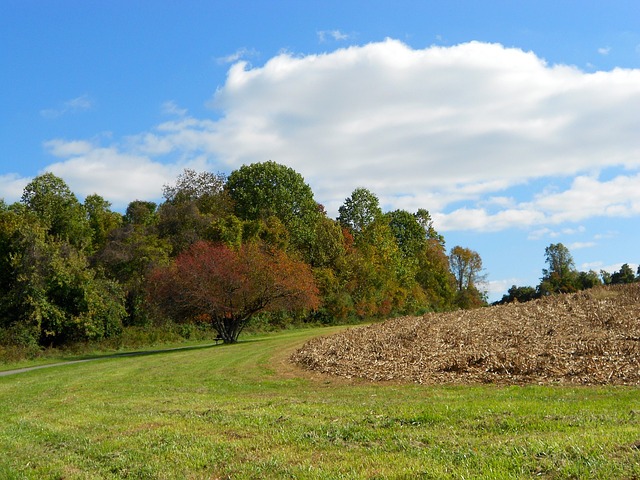 Pennsylvania
