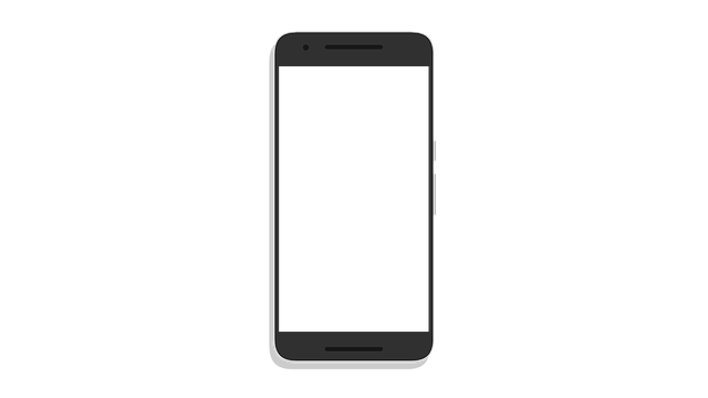 phone
