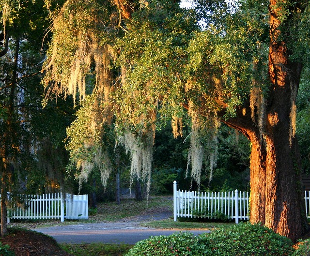 South Carolina