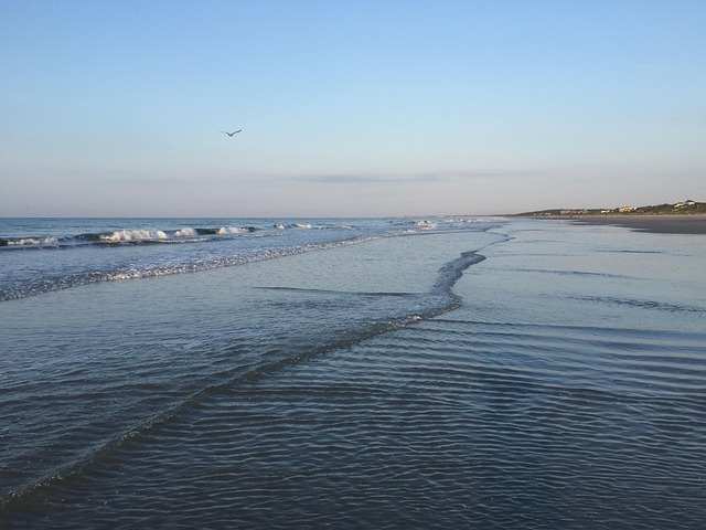 South Carolina