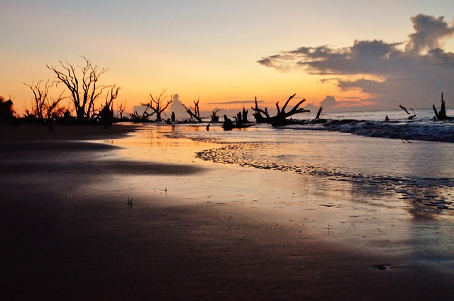 South Carolina