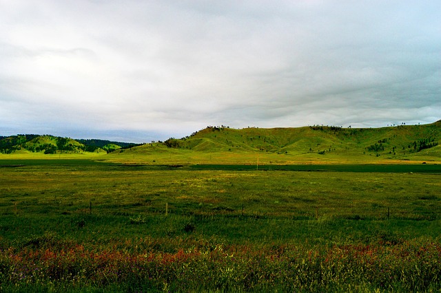 South Dakota