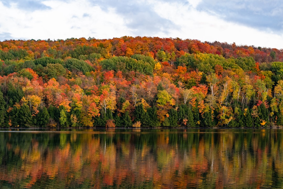 vermont-640x480-96775648.jpeg