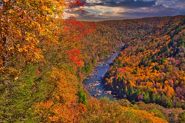 West Virginia