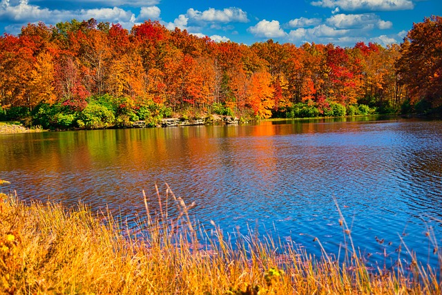 West Virginia