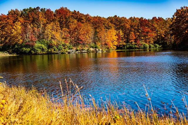 West Virginia