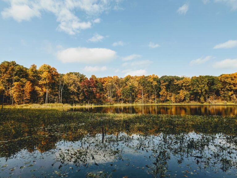 Indiana
