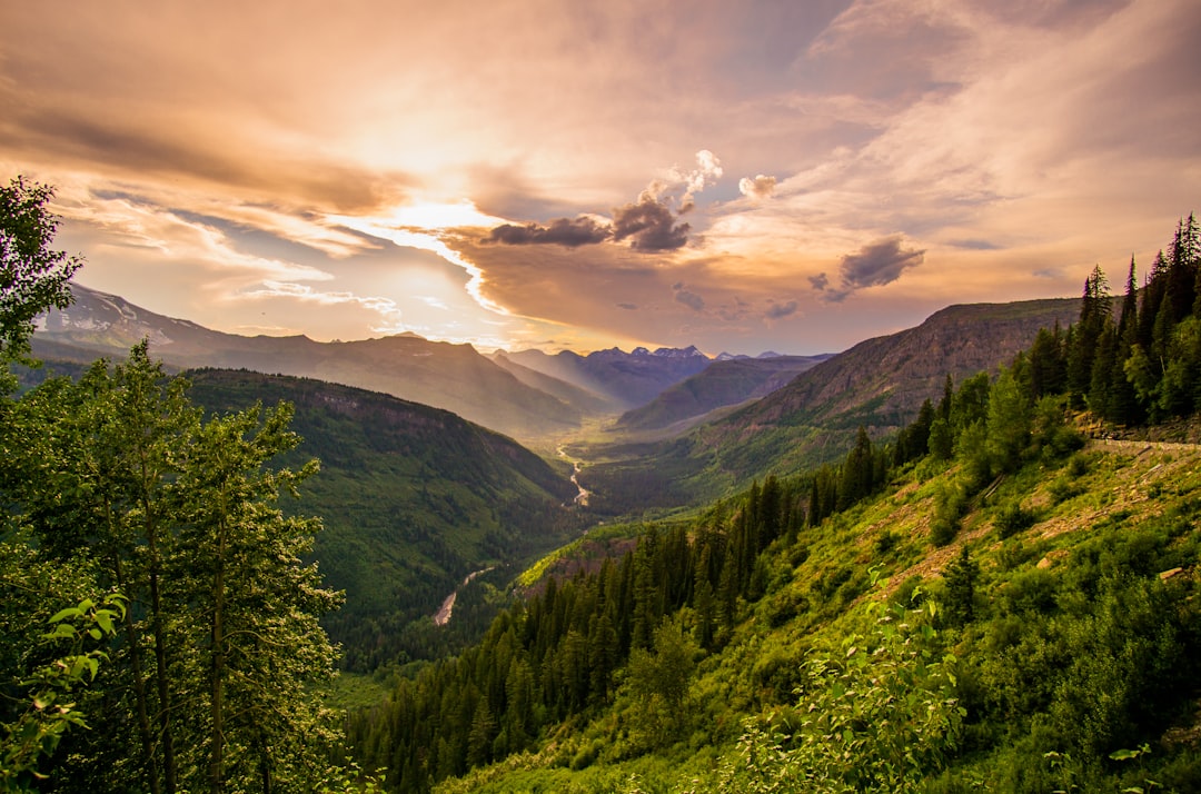 Spam Call Law Firm Montana: Report & Protect Your Rights