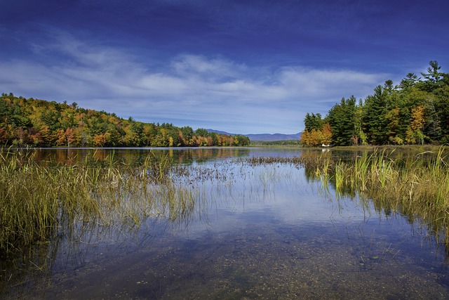 New Hampshire