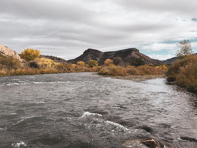 New Mexico