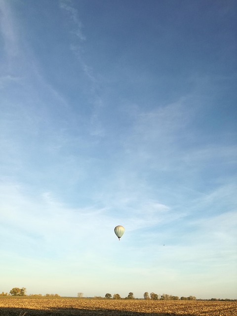 New Mexico