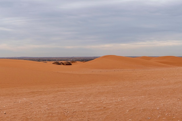 New Mexico