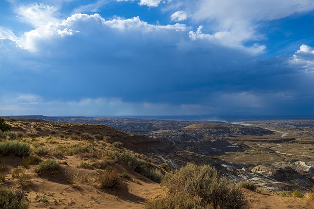 New Mexico