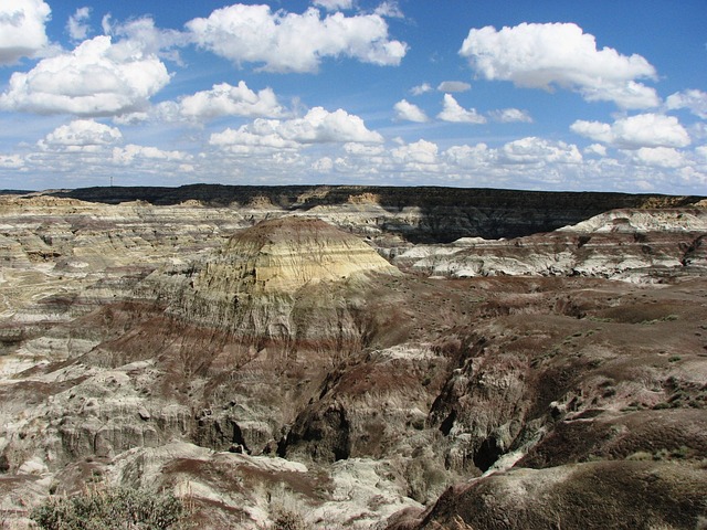 New Mexico