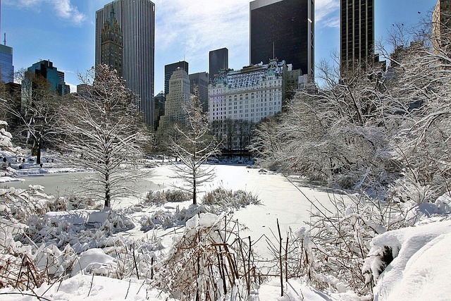New York