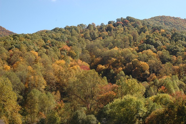 North Carolina