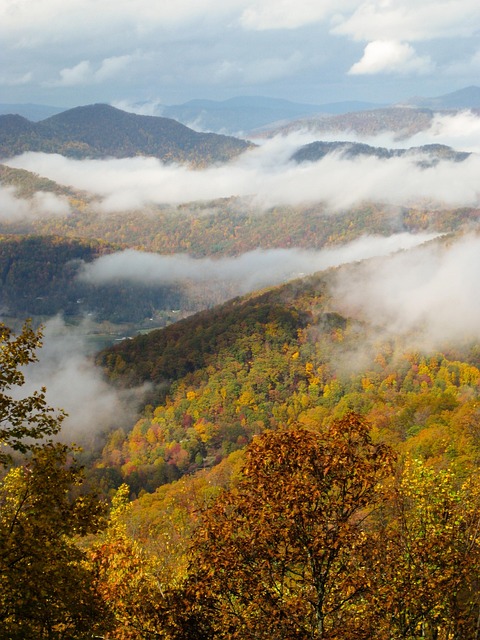North Carolina