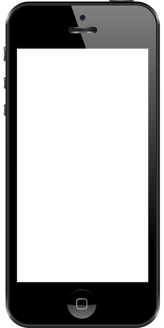 npressfetimg-165.png
