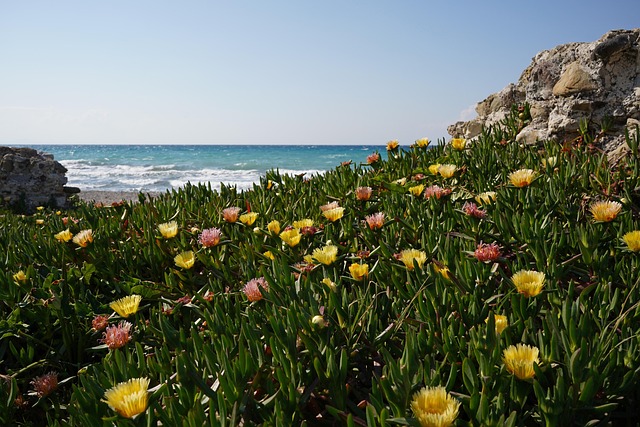 Rhode Island