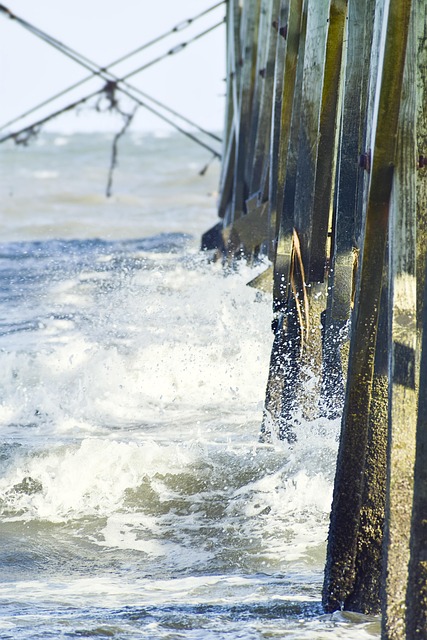 South Carolina