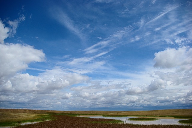 South Dakota