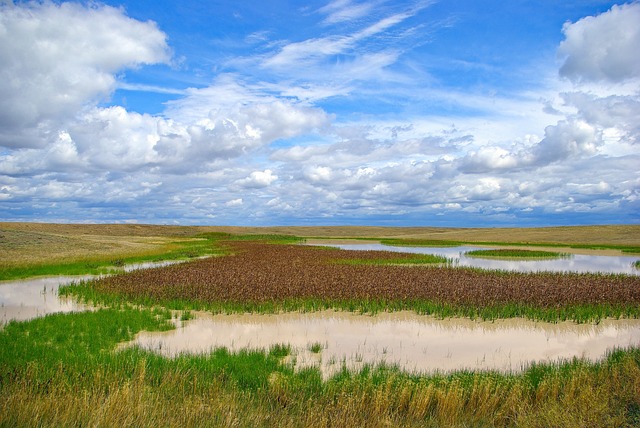 South Dakota