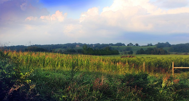 West Virginia