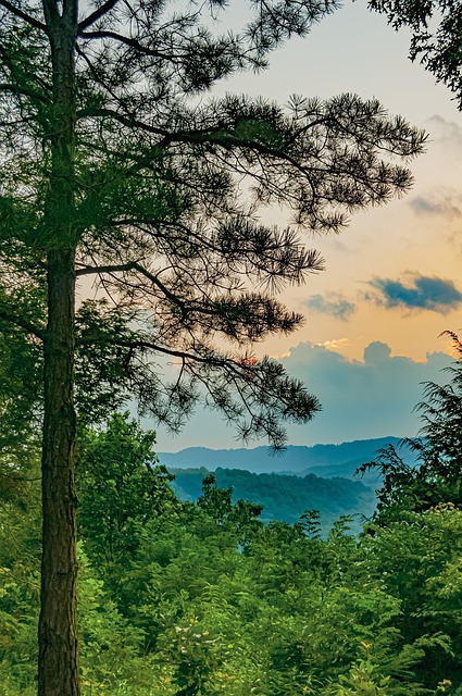 West Virginia