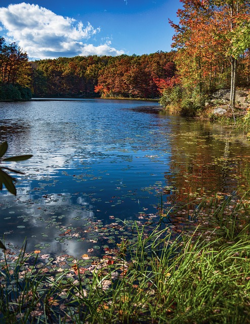 West Virginia