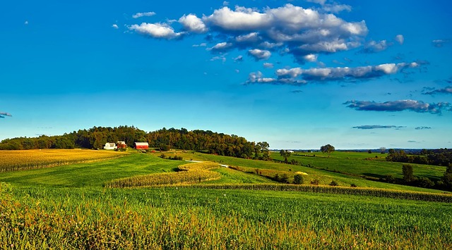 Wisconsin
