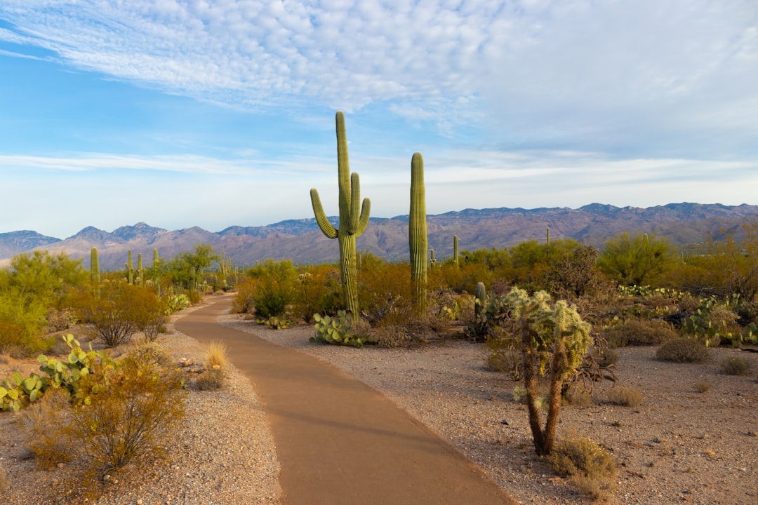 arizona-640x480-70757875.jpeg