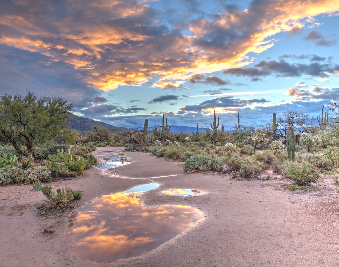 Arizona