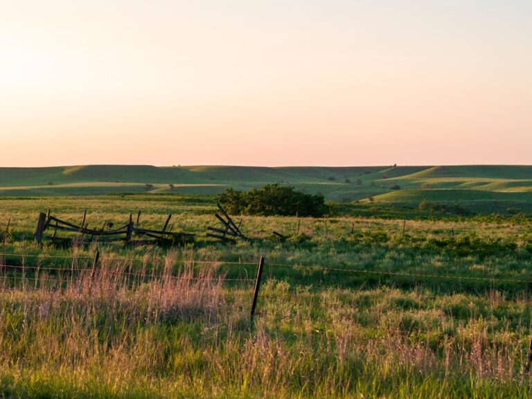 Kansas