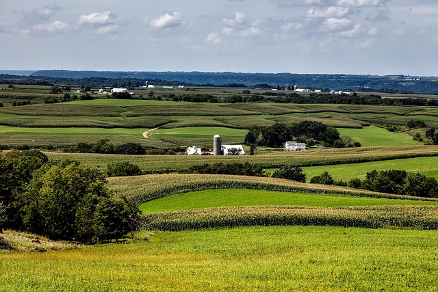 lawyer for TCPA Iowa