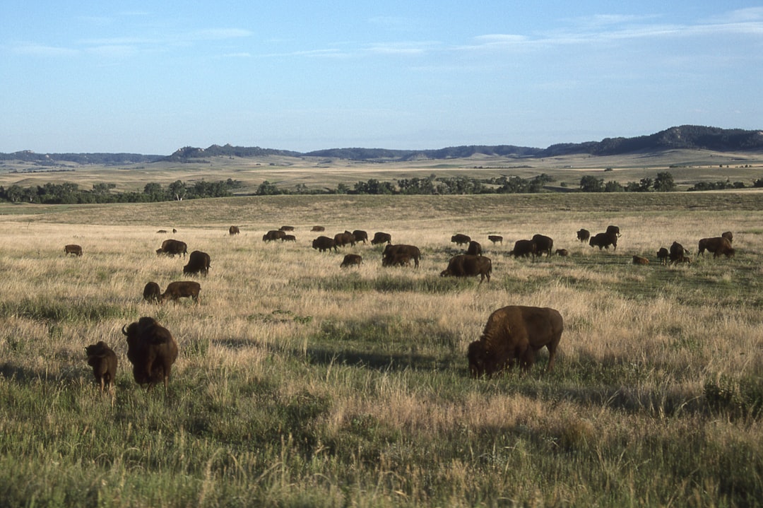 nebraska-640x480-40688332.jpeg