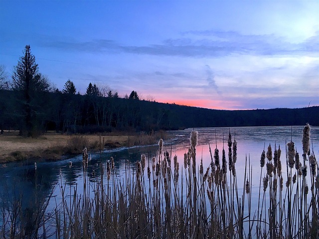 New Jersey