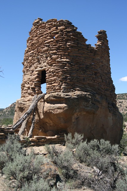 New Mexico