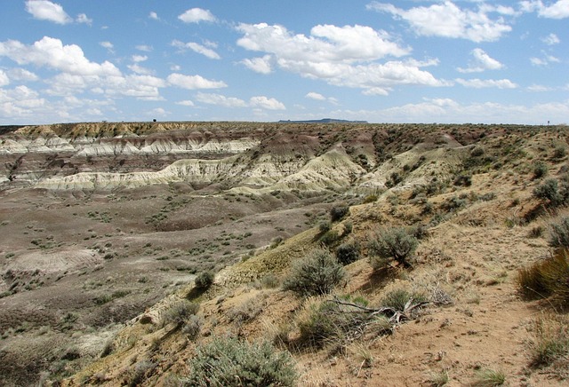 New Mexico