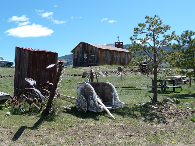 New Mexico