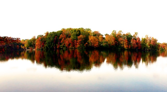 North Carolina