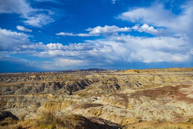 Albuquerque TCPA Lawyer: Navigating Litigation for Compensation