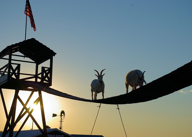 South Dakota Call Regulations: Exclusions & Legal Advice Needed?