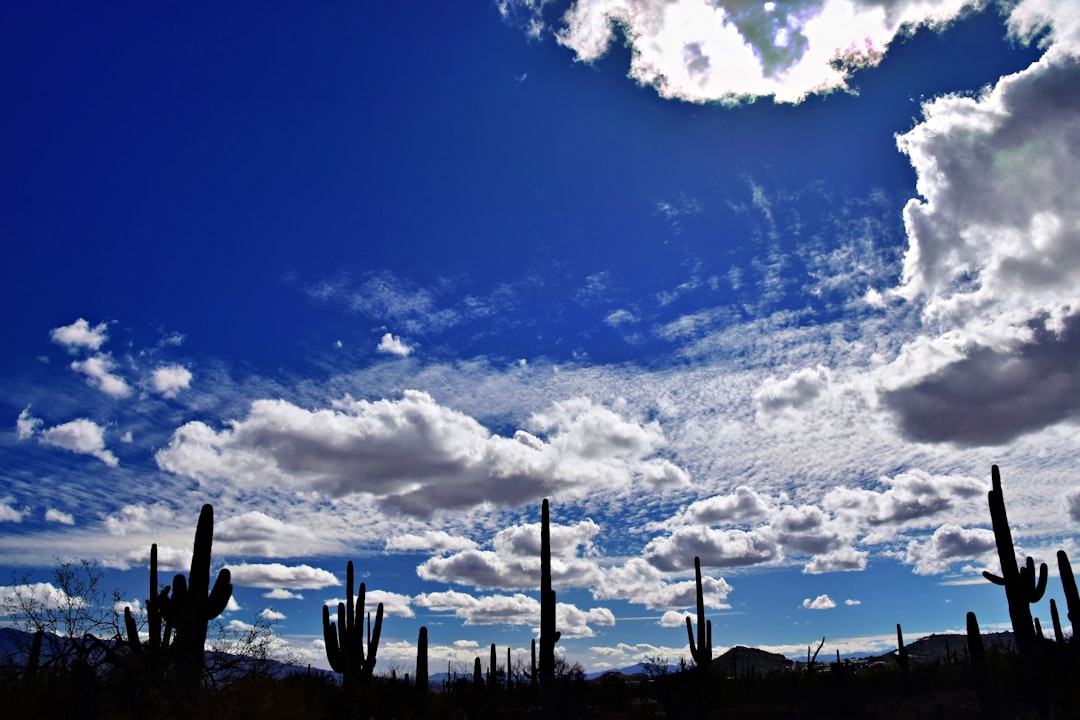 phone,cellphone,smartphone,lawyer,telemarketer,Arizona