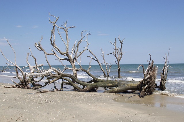 South Carolina