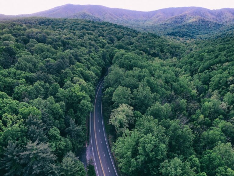 Virginia