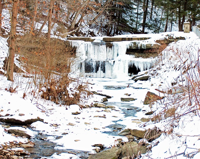 West Virginia